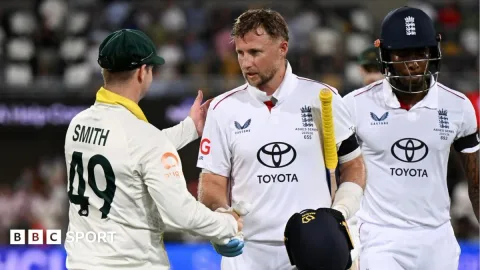 Cricket Australia Buka Peluang Gelar Ashes di India Demi Gairah Test