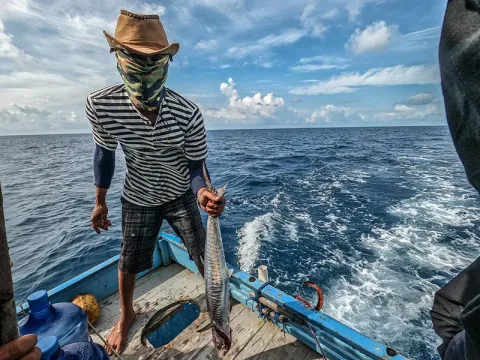 Fenomena Upwelling dan El Nino Bertemu, Nelayan Indonesia Berpotensi Raih Berkah atau Petaka?