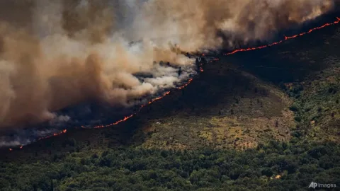 Spanyol Darurat Nasional Kebakaran Hutan: 10.000 Jiwa Mengungsi, Madrid Terancam