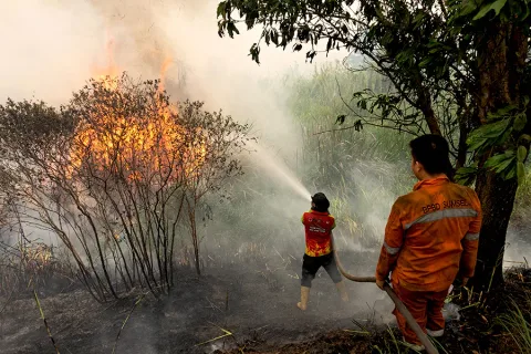Ancaman Karhutla di Musim Kemarau: Pemerintah Perketat Mitigasi Gambut, Tapi Infrastruktur Banyak Rusak
