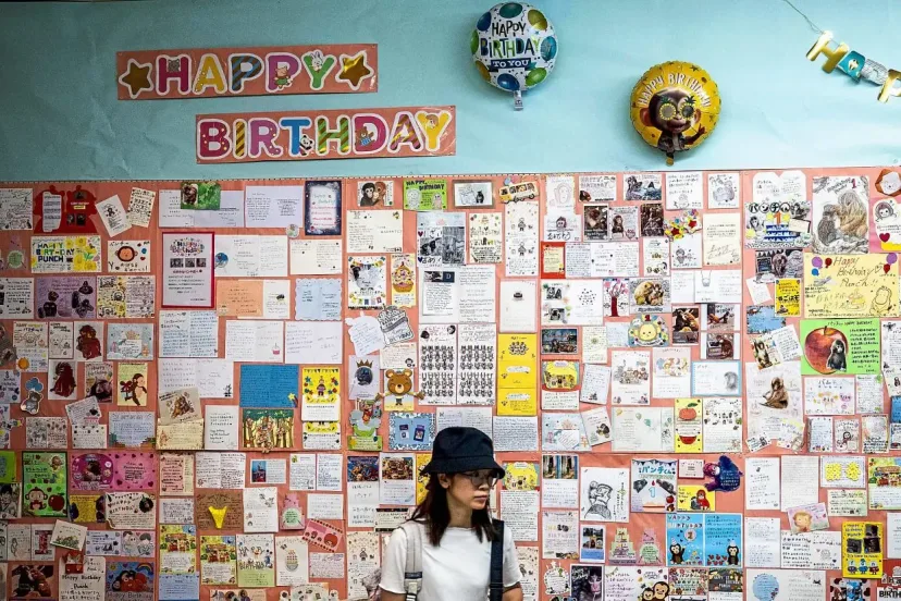 Punch, Monyet Kecil yang Mencuri Hati Dunia, Rayakan Ultah Pertama