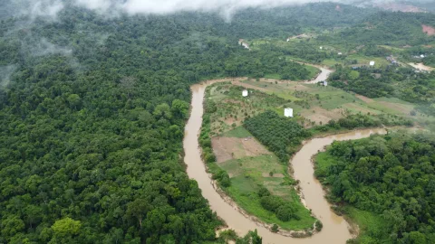 Taman Nasional Kutai Terkepung Tambang dan Sawit: Konsesi di Kawasan Konservasi Jadi Sorotan