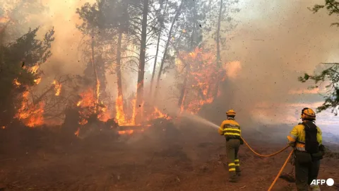 Kebakaran Hutan Eropa: 267.000 Jiwa Mengungsi, Prancis dan Spanyol Kewalahan