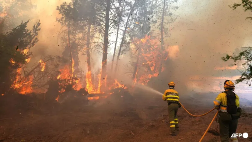 Kebakaran Hutan Eropa: 267.000 Jiwa Mengungsi, Prancis dan Spanyol Kewalahan