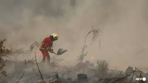 Kebakaran Hutan di Prancis dan Spanyol: Lebih dari 300.000 Jiwa Mengungsi, Api 'Tak Terduga' Terus Merambat