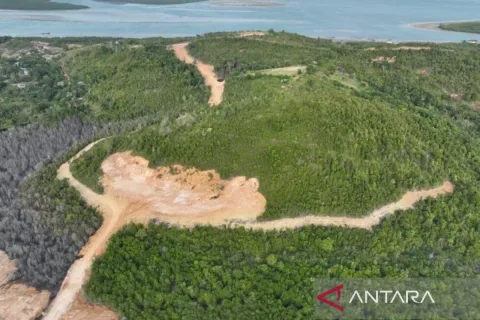 Kemenhut Tetapkan PT GTP Tersangka Perambahan Hutan Lindung di Batam: Ancaman 10 Tahun Penjara