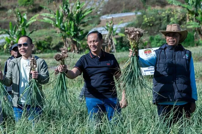 Polri Pacu Swasembada Pangan: Lahan Bawang Putih Sembalun Melonjak ke 534 Hektare