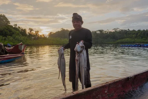 Jeda Tangkap Gurita di Mentawai Terbukti Pulihkan Populasi, Warga Dorong Perluasan ke Seluruh Desa