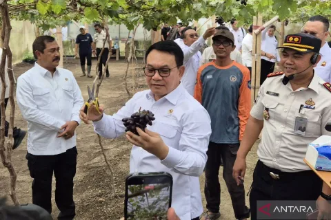 Transformasi Nusakambangan: Dari Penjara Mengerikan Jadi Lumbung Pangan Nasional