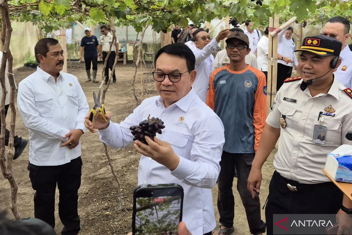 Transformasi Nusakambangan: Dari Penjara Mengerikan Jadi Lumbung Pangan Nasional