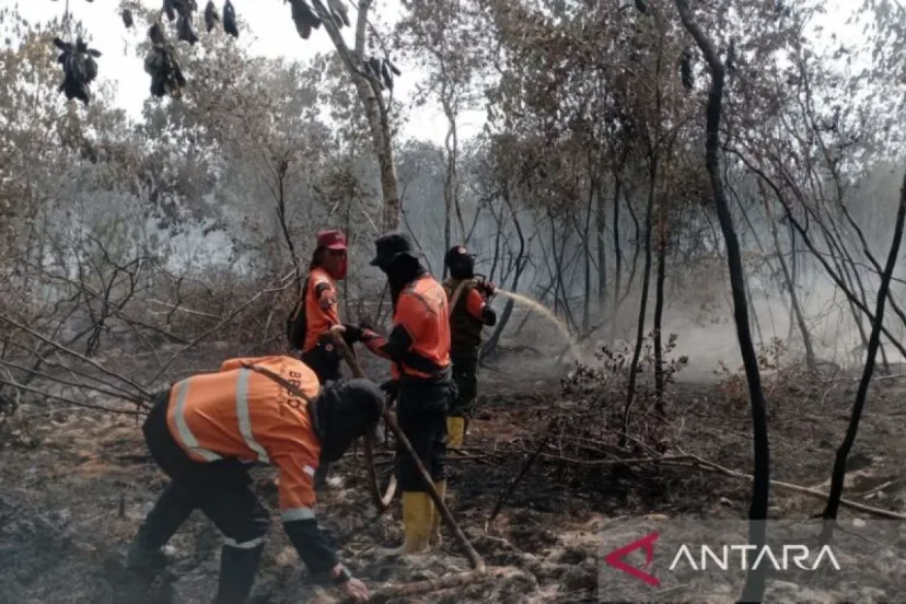 Api Kembali Mengamuk di Perbukitan Probolinggo, BNPB Kerahkan Tim Gabungan