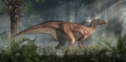 Bukan Sekadar Tebak-Tebakan: Ini Cara Ilmuwan Merekonstruksi Wajah Dinosaurus