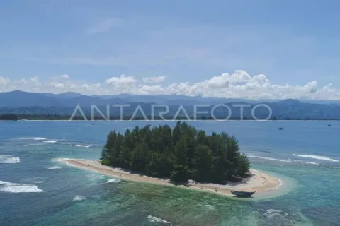Anggota DPR Dorong Pengembangan Wisata Bahari Aceh Barat Daya: Kima Raksasa Jadi Andalan