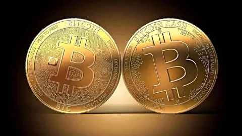 Bitcoin Cash Tertekan Sentimen Risiko: Uji Level Kritis di Tengah Aksi Likuidasi