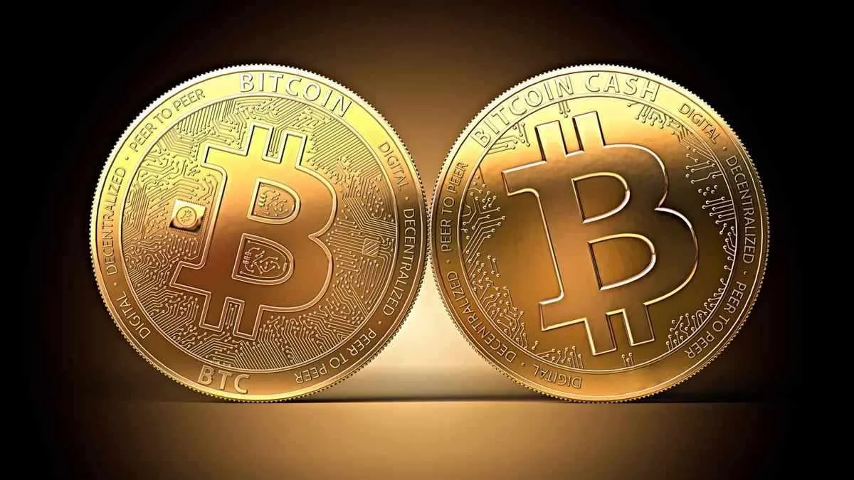 Bitcoin Cash Tertekan Sentimen Risiko: Uji Level Kritis di Tengah Aksi Likuidasi