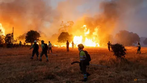 Kebakaran Hutan Eropa Mulai Terkendali, Spanyol Cabut Status Darurat Nasional