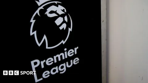 Premier League Sepakati Dana Hibah untuk EFL: Transfer Levy Jadi Sumber Pendanaan