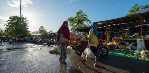 Agroforestri Cerdas Iklim: Jurus Baru Selamatkan Petani Pulau Kecil dari Krisis Iklim