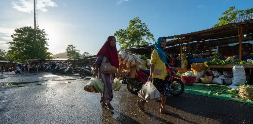 Agroforestri Cerdas Iklim: Jurus Baru Selamatkan Petani Pulau Kecil dari Krisis Iklim