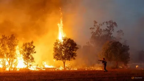 Eropa Terbakar: Gelombang Panas Ekstrem Memicu Kebakaran Hutan di Lima Negara