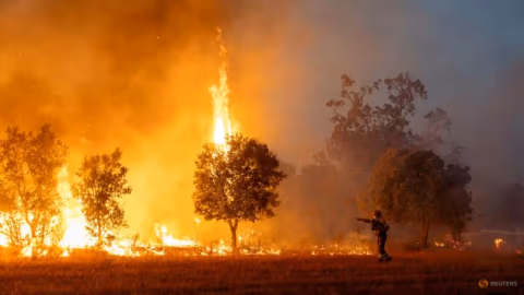 Eropa Terbakar: Gelombang Panas Ekstrem Memicu Kebakaran Hutan di Lima Negara