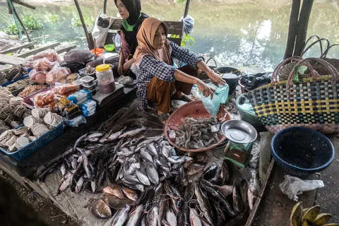 Sungai dan Wayang: Bagaimana Batanghari Sembilan Menjadi Napas Budaya Sumatera Selatan
