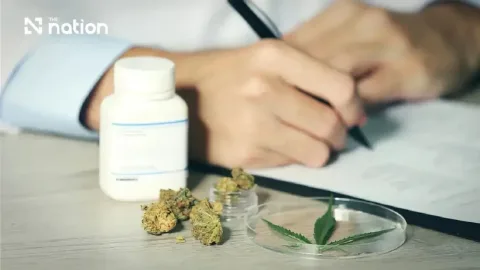 Thailand Kencangkan Aturan Ganja: Hanya untuk Medis, Bisnis Wajib Izin Tiga Tahun