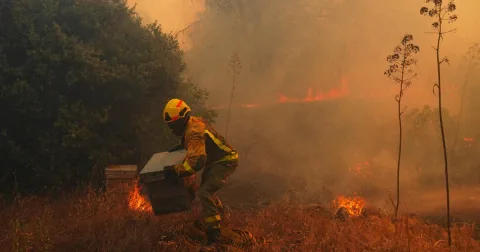 El Nino Ekstrem Menguat, PBB Peringatkan Dunia Masuki 'Wilayah Tak Bertanda'