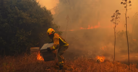 El Nino Ekstrem Menguat, PBB Peringatkan Dunia Masuki 'Wilayah Tak Bertanda'