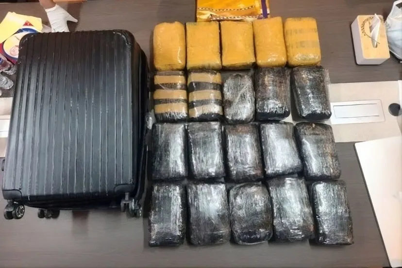 Bareskrim Gagalkan Peredaran 20 Kg Ganja ke Kampung Bahari, Satu Kurir Ditangkap