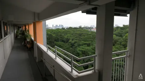 Rencana Alih Fungsi Gillman Barracks dan Sunset Way Belum Final, Pemerintah Singapura Buka Ruang Negosiasi