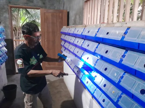 BUMDes di Bangkalan Banting Setir ke 'Apartemen Kepiting' Saat Tambak Dicaplok Tambak Udang