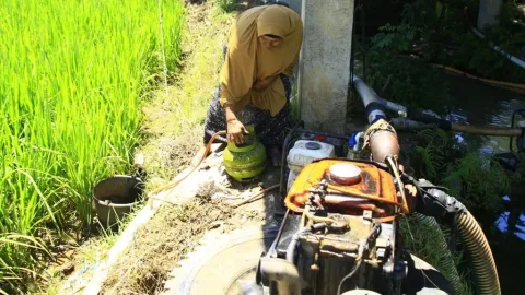 Gas Melon Masuk Sawah: Siasat Petani Aceh Hadapi Krisis Air