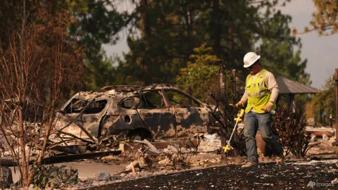Kebakaran Hutan Spokane: Tersangka Pembakaran Ditangkap, 65.000 Warga Mengungsi