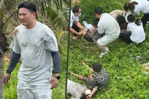 Liburan Bulan Madu Berubah Aksi Heroik: Polisi China Selamatkan Keluarga dari Mobil di Tepi Jurang