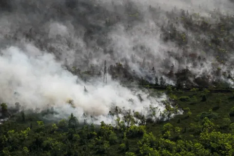 El Niรฑo Memicu Lonjakan Kebakaran Hutan: Indonesia Menuju Musibah Terparah?