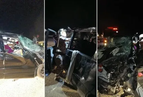 Tabrakan dengan Kawanan Gajah Liar di Tol Malaysia: Dua Warga Terluka