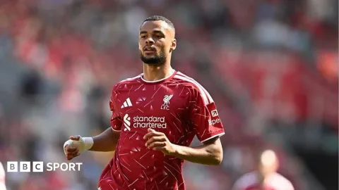 Gakpo Incaran Tottenham: Fleksibilitas Taktis yang Dicari De Zerbi