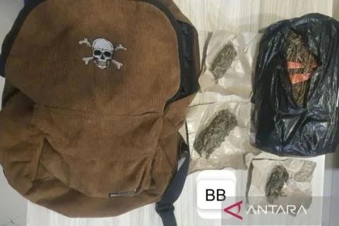 Ganja 3,4 Kg dari Sumatera Utara Gagal Masuk Jakarta, Dua Kurir Masih di Bawah Umur