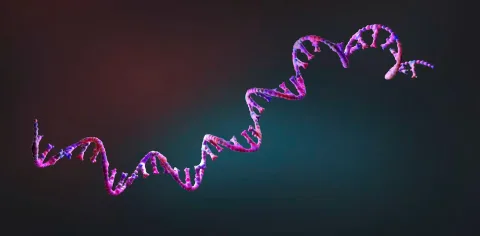 Vaksin Flu mRNA Pertama Disetujui FDA: Era Baru Terapi Genetik Makin Dekat