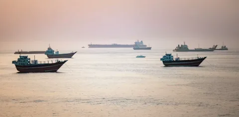 Armada Terdampar di Selat Hormuz Mengancam Ekosistem Global: Risiko Biosekuriti yang Terabaikan