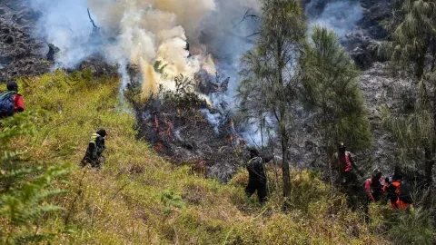 Kebakaran Gunung Bromo Meluas, Taman Nasional Ditutup: Ancaman El Nino dan Dampaknya bagi Pariwisata Indonesia