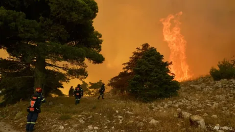 Wali Kota Yunani Ditahan atas Tuduhan Pembakaran Hutan: Jejak Kabel Listrik di Balik Bencana Athena