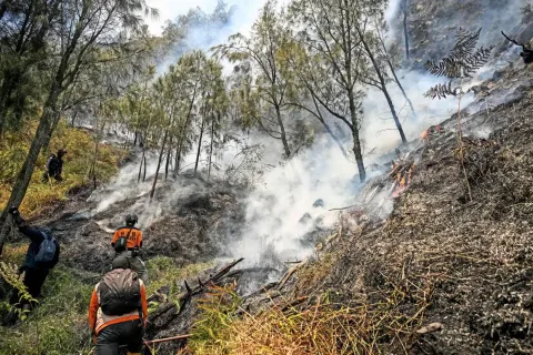 Kebakaran Hutan Landa Kawasan Bromo, 60 Hektare Lahan Hangus