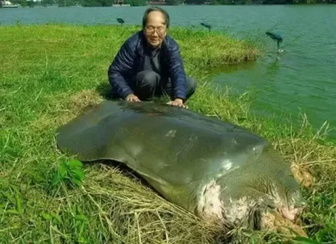 Mengenang Ha Dinh Duc: Sang Penjaga Terakhir Kura-kura Legendaris Danau Hoan Kiem