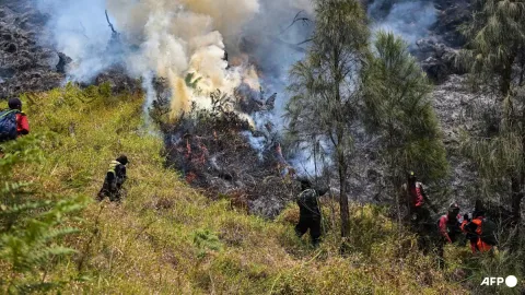 Kebakaran Meluas di Bromo, Akses Wisata Ditutup Total: 176 Hektare Lahan Terbakar