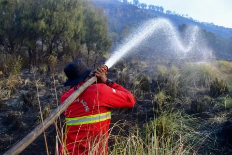 Gunung Bromo Ditutup Total: Kebakaran Hutan Meluas, Ribuan Tiket Terdampak