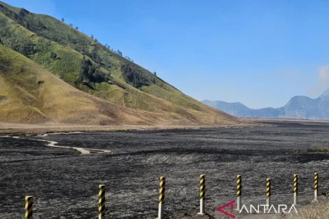 Menhut Serahkan Penyelidikan Karhutla Bromo ke Aparat: Ada Unsur Kesengajaan?
