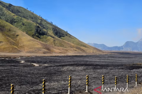 Menhut Serahkan Penyelidikan Karhutla Bromo ke Aparat: Ada Unsur Kesengajaan?