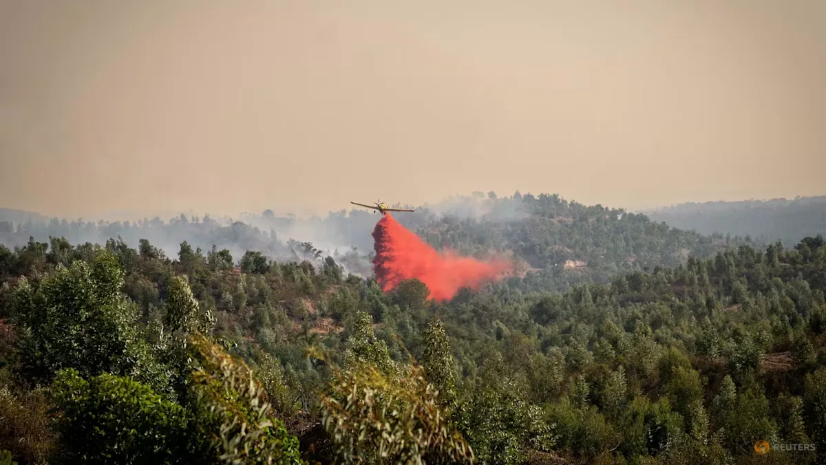 Kebakaran Hutan di Spanyol Selatan Masih Berkobar, 470 Warga Dievakuasi